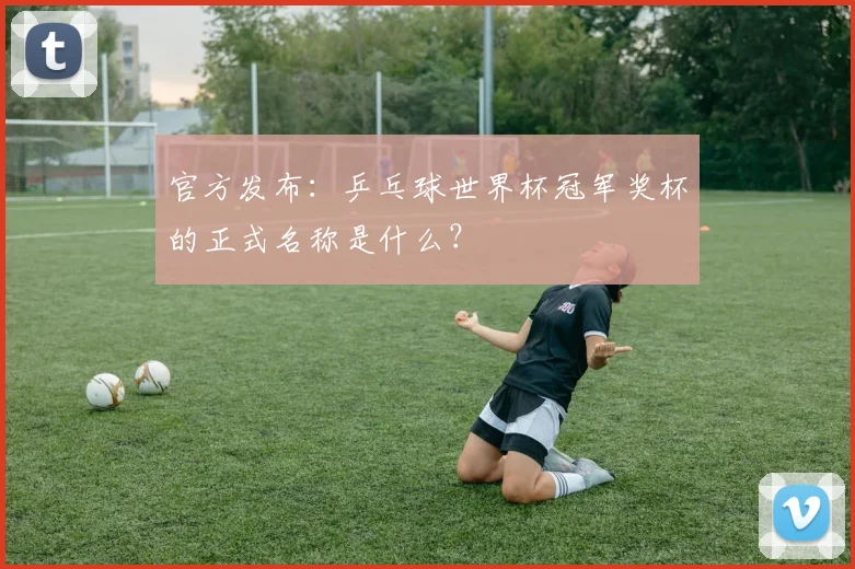 官方发布：乒乓球世界杯冠军奖杯的正式名称是什么？