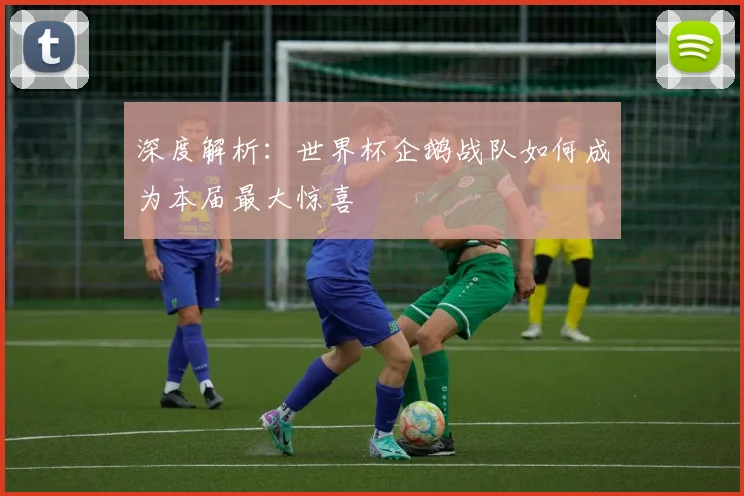 深度解析：世界杯企鹅战队如何成为本届最大惊喜