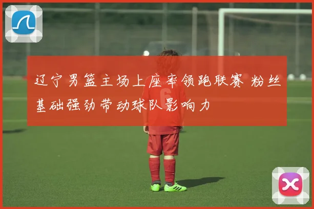 辽宁男篮主场上座率领跑联赛 粉丝基础强劲带动球队影响力