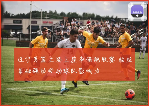 辽宁男篮主场上座率领跑联赛 粉丝基础强劲带动球队影响力