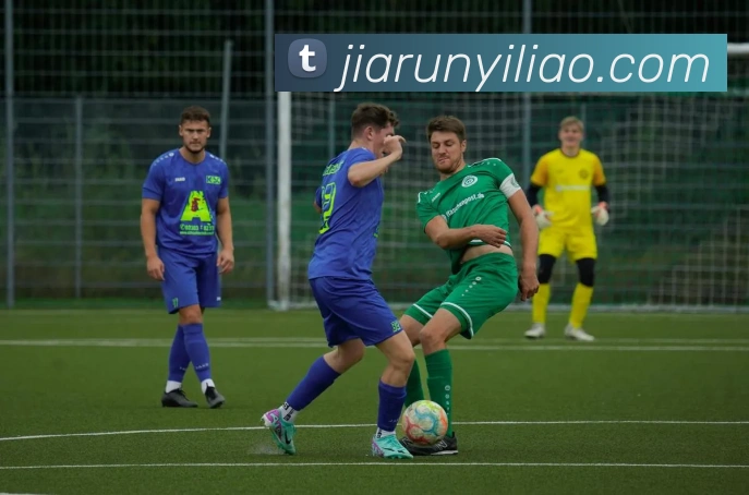 半岛网址全站App